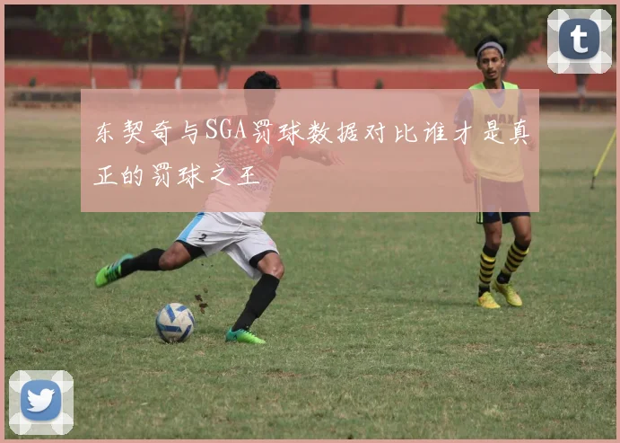 东契奇与SGA罚球数据对比谁才是真正的罚球之王