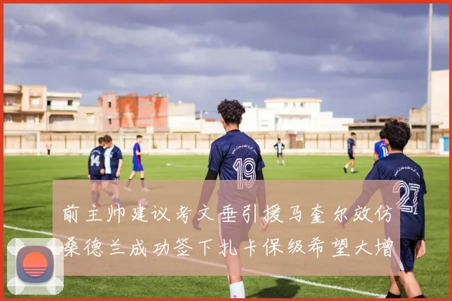 前主帅建议考文垂引援马奎尔效仿桑德兰成功签下扎卡保级希望大增