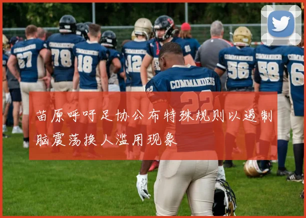 苗原呼吁足协公布特殊规则以遏制脑震荡换人滥用现象
